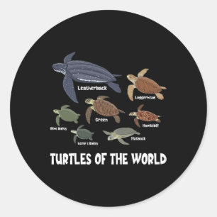 Turtles Of The World Celebrate Diversity Tortoise Classic Round Sticker
