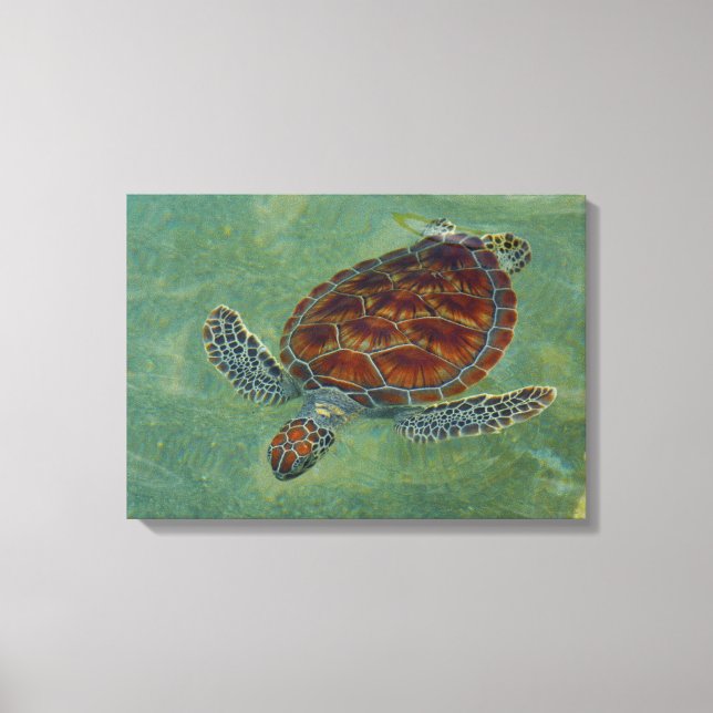 Turtles on Canvas (Front)