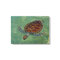 Turtles on Canvas