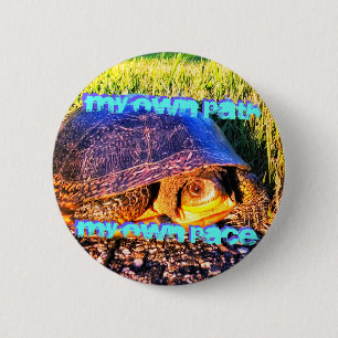 TURTLE'S PATH PIN