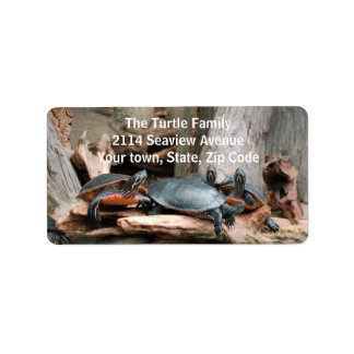Turtles Photo Address Labels