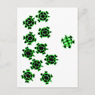 Turtles Postcard