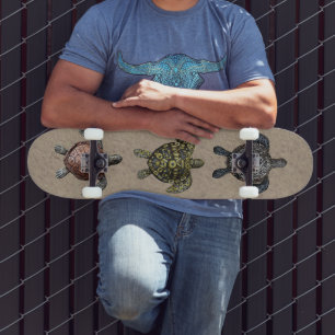 Turtles Skateboard
