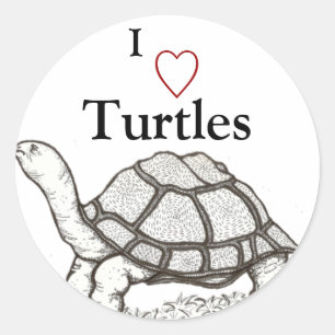 Turtles Sticker