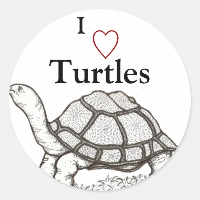 Turtles Sticker (Front)