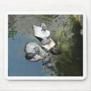 Turtles/Tortoises Mouse Mat