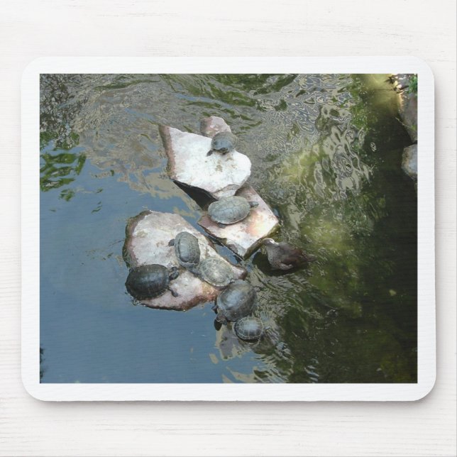 Turtles/Tortoises Mouse Mat (Front)