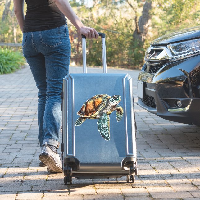 Turtles Underwater Design For Divers (Suitcase Insitu)