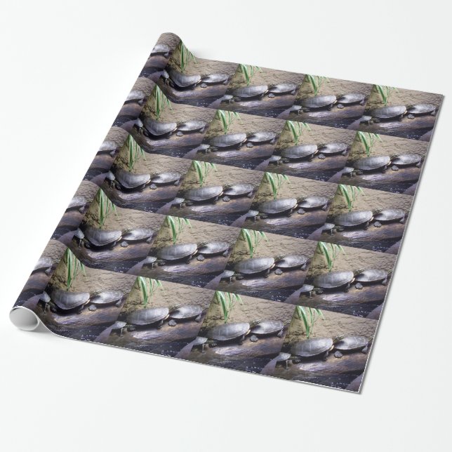 Turtles Wrapping Paper (Unrolled)
