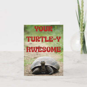 Turtley Awesome Birthday Wishes for a Slow-Mo Star Card