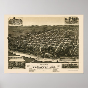 Tuscaloosa, AL Panoramic Map - 1887 Poster
