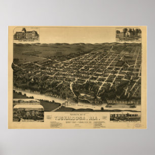Tuscaloosa Alabama 1887 Panoramic Map Poster