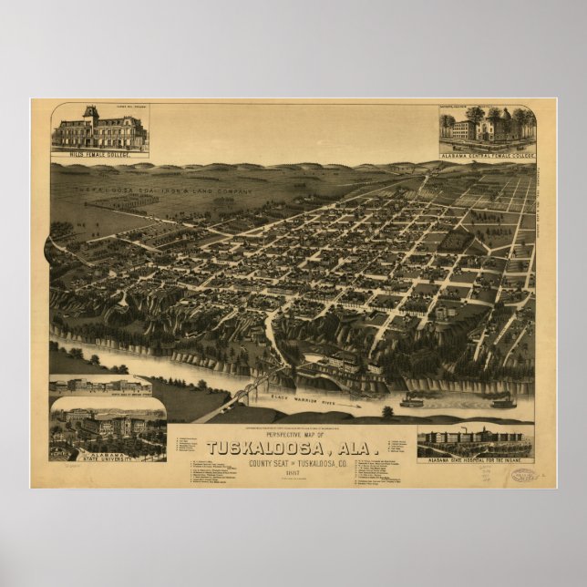 Tuscaloosa Alabama 1887 Panoramic Map Poster (Front)