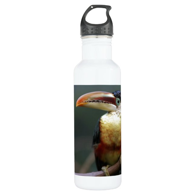 Tuscan  At The Zoo 710 Ml Water Bottle (Front)