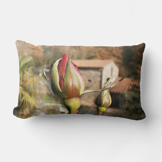 Tuscan autumn rose. Tuscany. Lumbar Cushion (Front)