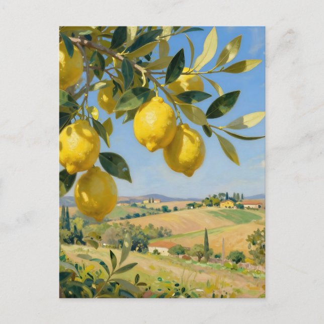 Tuscan Lemon Tree Landscape Postcard (Front)