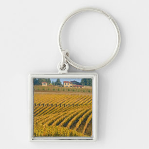 Tuscan-looking Black Walnut Inn above the Key Ring
