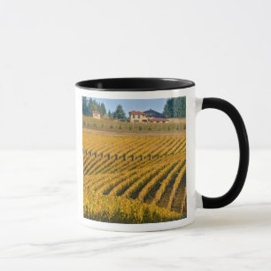 Tuscan-looking Black Walnut Inn above the Mug
