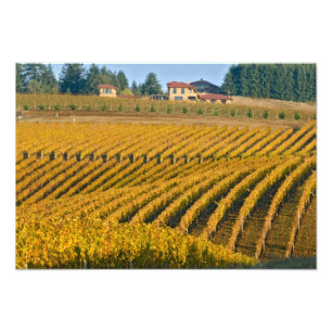 Tuscan-looking Black Walnut Inn above the Photo Print