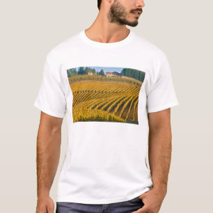 Tuscan-looking Black Walnut Inn above the T-Shirt