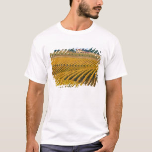 Tuscan-looking Black Walnut Inn above the T-Shirt