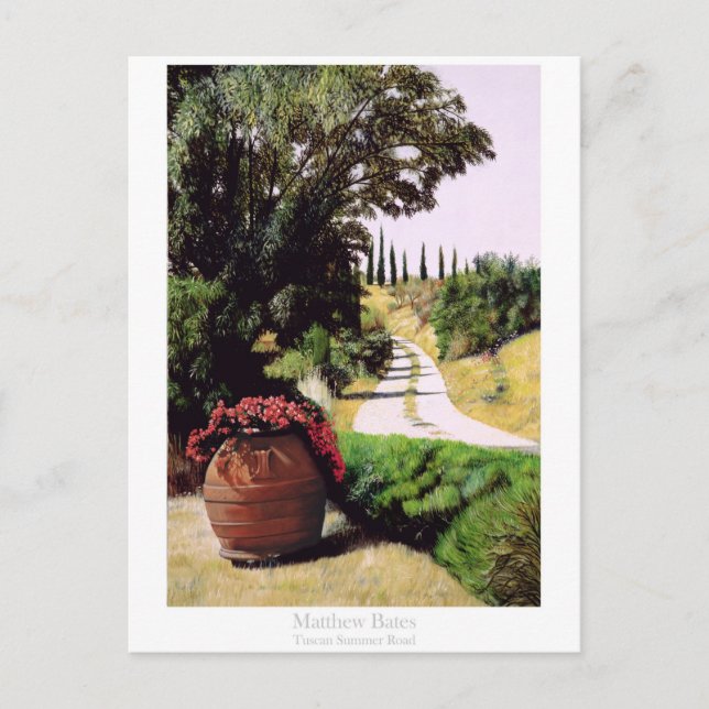 Tuscan Summer Road Postcard (Front)