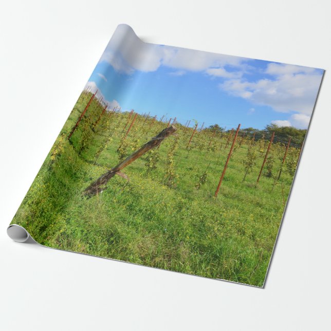 Tuscan Vineyard Wrapping Paper (Unrolled)