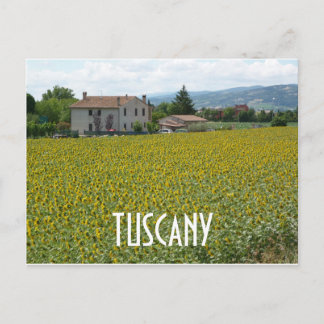 Tuscany Hillside Sunflower Field Postcard