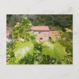 Tuscany. Italy. Cortona. Postcard