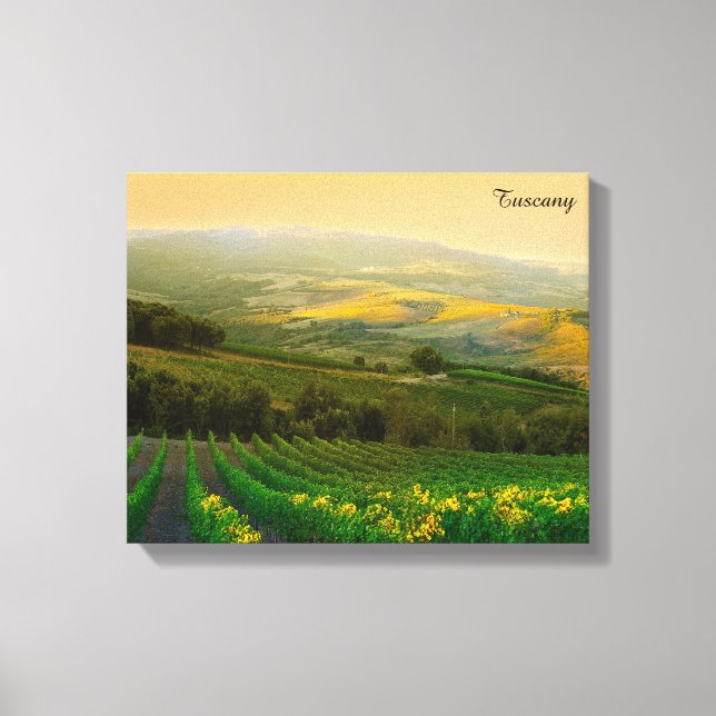 Tuscany Italy Italian Vineyard Photo Canvas Print (Front)