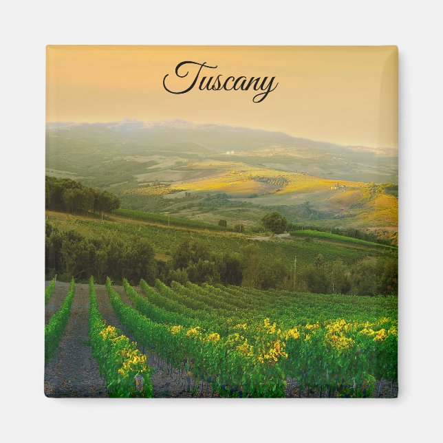 Tuscany Italy Italian Vineyard Photo Magnet (Front)
