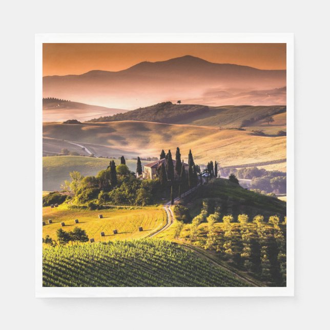 Tuscany, Italy - landscape photograph Napkin (Front)