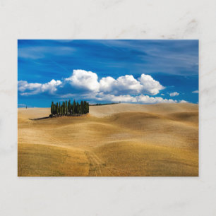 Tuscany (Italy) Plains Landscape Postcard