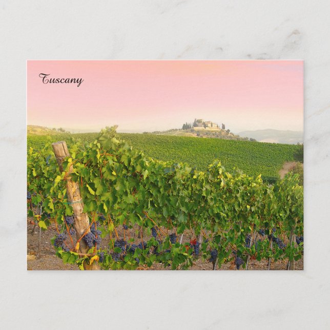 Tuscany Italy Stylish Italian Villa Vineyard Postcard (Front)