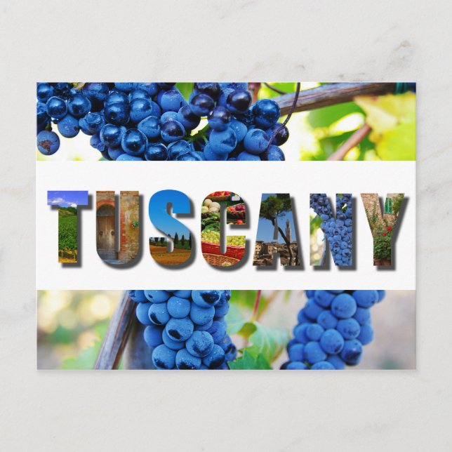 Tuscany Italy Tuscan Vineyard Travel Photos Postcard (Front)