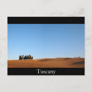 Tuscany landscape and cypress trees black postcard