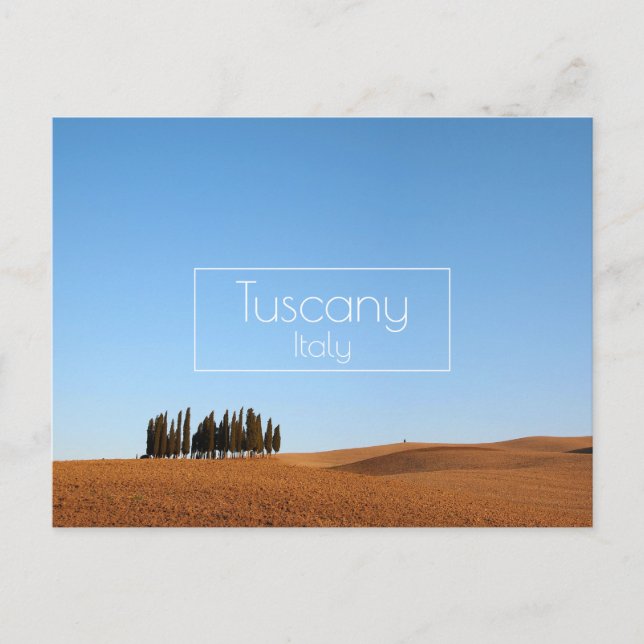 Tuscany landscape with cypresses in autumn postcard (Front)