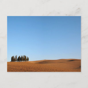 Tuscany landscape with cypresses postcard