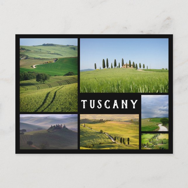 Tuscany landscapes black frame collage postcard (Front)