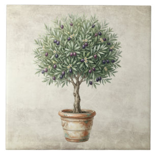 Tuscany Olive Topiary Mediterranean Tile