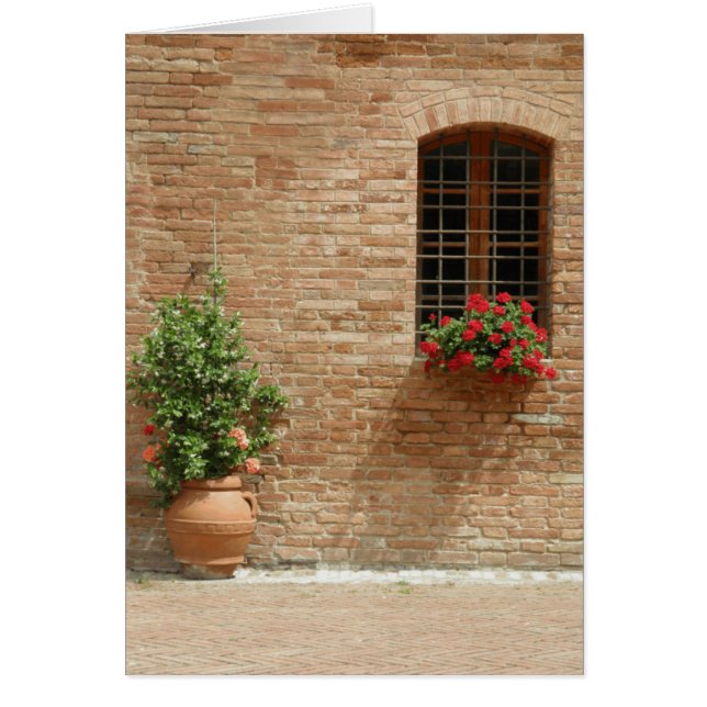 Tuscany pot plants (Front)