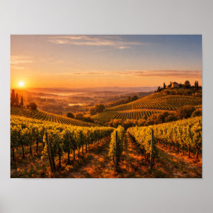 Tuscany Vineyard at Sunset Landscape Poster