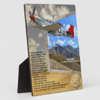 TUSKEGEE AIRMEN PLANE FLYING OUT OF PICTURE
