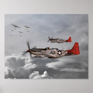Tuskegee Airmen Poster