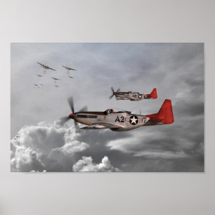 Tuskegee Airmen Poster