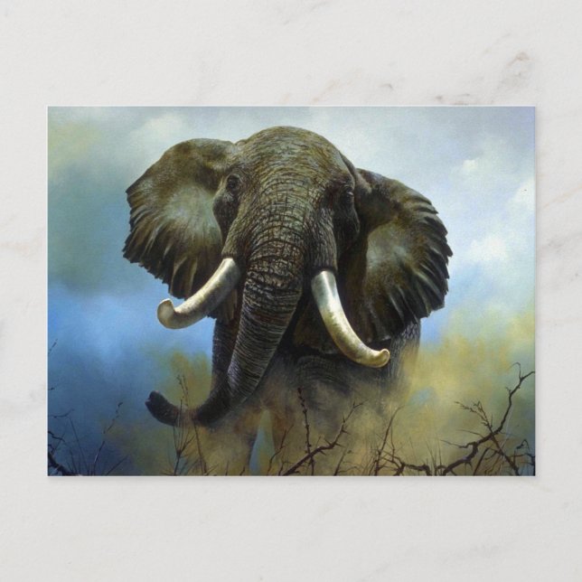 Tusks, Elephants Postcard (Front)