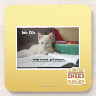 Tutor Kitty Coaster