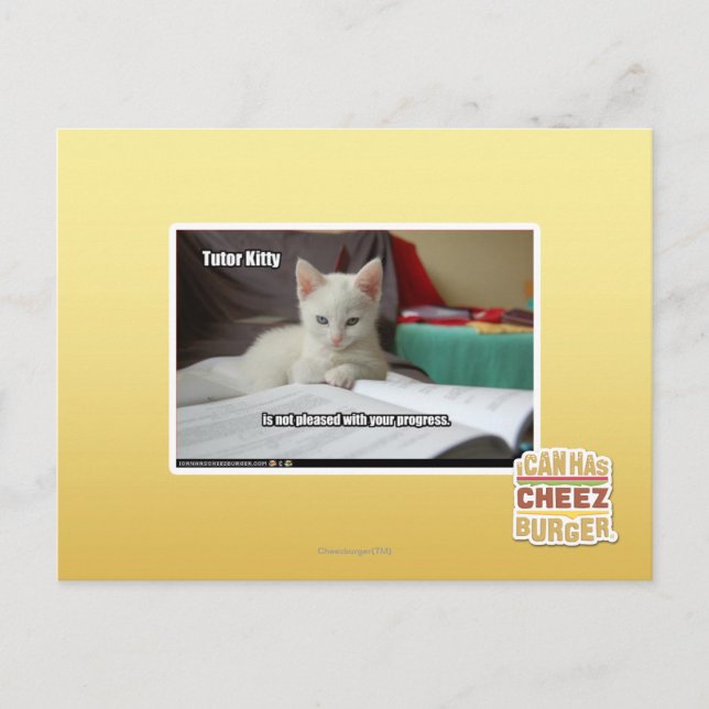 Tutor Kitty Postcard (Front)