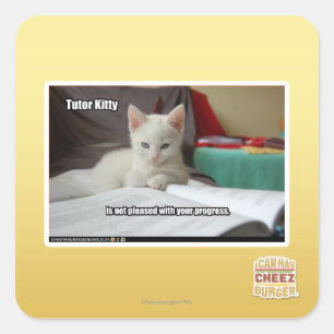 Tutor Kitty Square Sticker