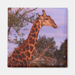 Tutwa, giraffe in Tetswana language, Magnet